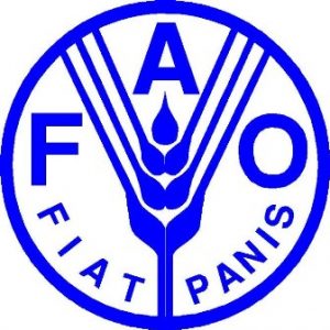 FAO issues hunger alert in East Africa over failed rains