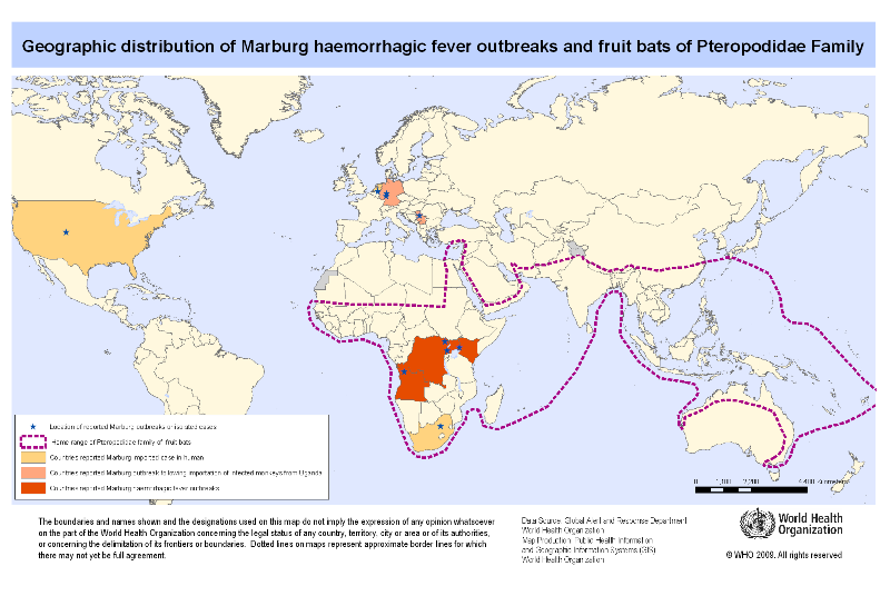 World map showing the risk areas of MVD