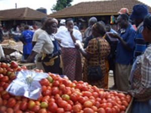JICA says its Smallholder Horticulture Empowerment and Promotion (SHEP), that was introduced in Kenya in 2006, 'achieved doubling income of 2,500 smallholders only within 2 years'.