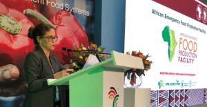 African Development Bank Vice President Dr. Beth Dunford speaks at a pre-AGRF Summit event centered on the Bank's new African Emergency Food Production Facility