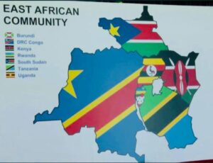 Though located in East Africa and a member of EAC alongside Kenya, Uganda, Rwanda, Burundi, South Sudan, Somalia and DR Congo, Tanzania isn't a member of COMESA, having withdrawn in 2000 saying it could not participate effectively in all activities of the various trade blocs it belonged to. But analysts say Tanzania withdrew from COMESA over the bloc's zero tariff reduction agreement which was a threat for Tanzania that relies on revenues from trade tariffs and VAT.